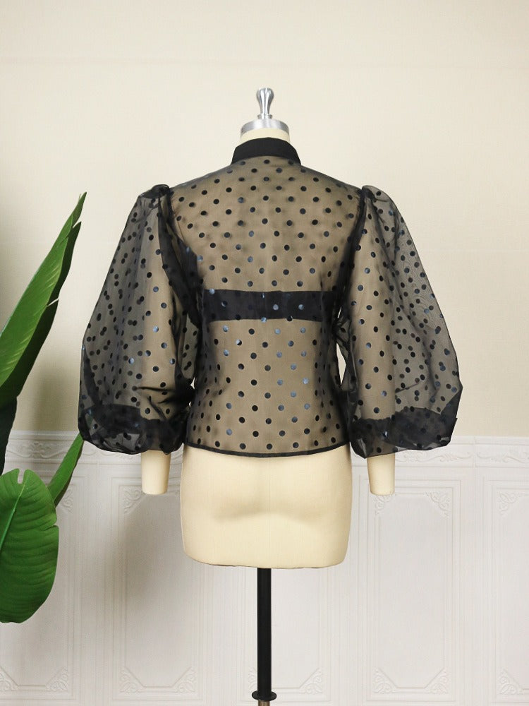 Camisa Organza Lunares Manga Abullonada Transparente Cuello V Mujer